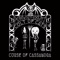 Carpe Noctem - Curse Of Cassandra lyrics