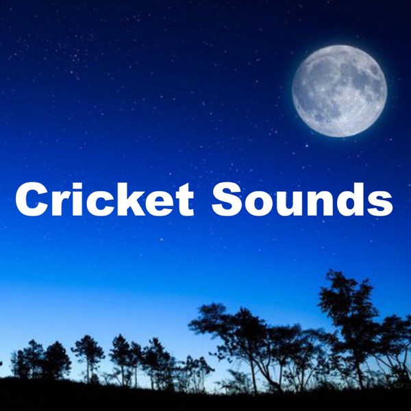 Cricket Sounds for Relaxation - EP