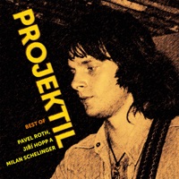 Best Of - Projektil