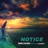 Notice - Single