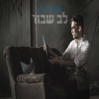 לב שבור - Single - Meir Green