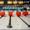 Back to the Trap (feat. Trill Sammy) - Daylow Dev lyrics