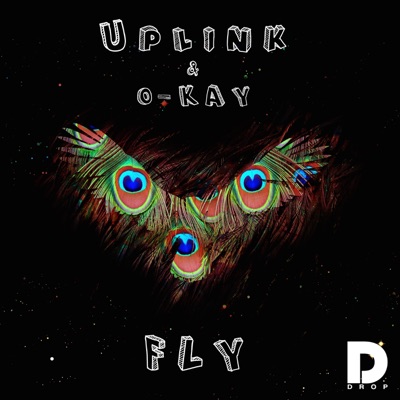 Fly (feat. Philip Strand) - Single