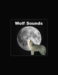 聆聽 Wolf Sounds、觀看音樂影片、閱讀小傳、查看巡演日期等！