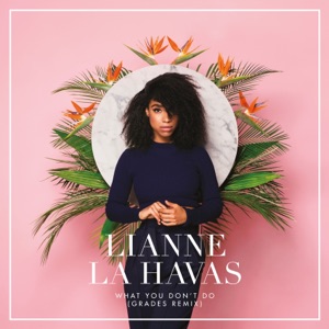 What You Don't Do (GRADES Remix) - Single
