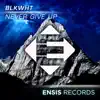 Stream & download Never Give Up - Single