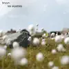 Bryyn - About Anything