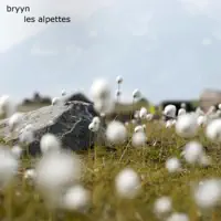 About Anything — Bryyn