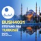 Turkish - Stefano Pini lyrics