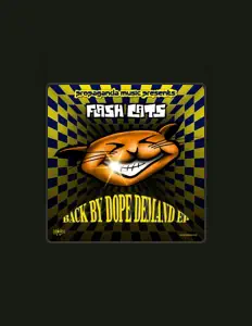 收听 Flash Cats、观看音乐视频、阅读小传、查看巡演日期等 ！