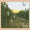 Calexico - Spokes