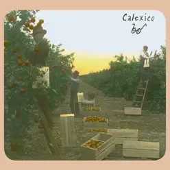 Spoke - Calexico