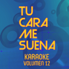 Tu Cara Me Suena Karaoke, Vol. 12 - Ten Productions