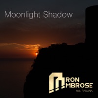 Moonlight Shadow (feat. Paulina) [Ambrose Extended Mix] - Aaron Ambrose