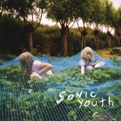 Sonic Youth - Sympathy for the Strawberry