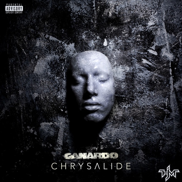 Chrysalide - Canardo