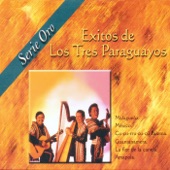 Éxitos de Los Tres Paraguayos. Serie Oro artwork
