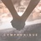 Been Through It All (feat. Moe Roy) - Cymphonique lyrics