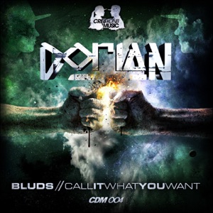 Bluds / Call It Want You Want - Single
