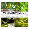 Nature Sounds Meditation Music: Calming Water and Singing Birds, Waves, Soothing Rain, Beach, Waterfall, Rainforest, Tropical Spa Surf - Calming Water Consort