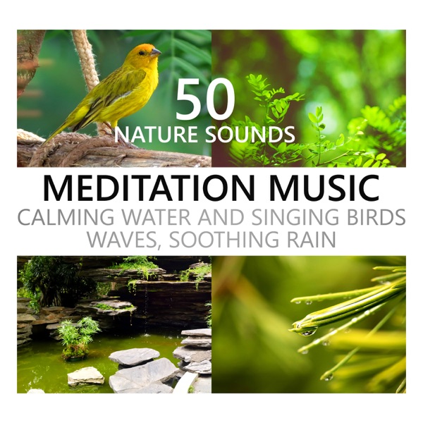 Nature Sounds Meditation Music: Calming Water and Singing Birds, Waves, Soothing Rain, Beach, Waterfall, Rainforest, Tropical Spa Surf