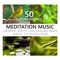 Ocean Liquid (Relax Mind) - Calming Water Consort lyrics