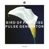 Pulse Generator - EP