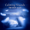 Deep Sleep Inducing - Deep Sleep Relaxation Universe