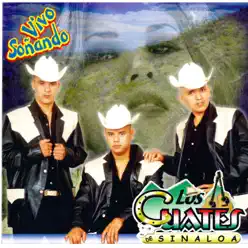 Vivo Sonando - Los Cuates de Sinaloa Vivo Sonando - Los Cuates de Sinaloa