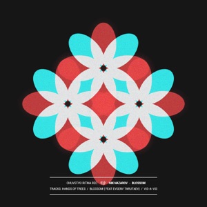 Blossom - Single