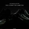This is What You Came For (Bonkerz Remix Edit)