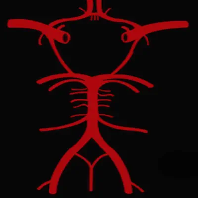 Circle of Willis - Single - Roger