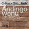 Andingowenu (feat. Toshi) - C-Major SA lyrics