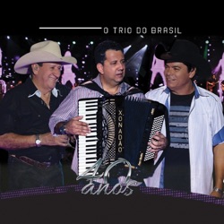 O Trio do Brasil - Sincero Amor / Distante Dela (feat. César Menotti & Fabiano)