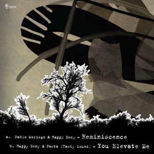 Reminiscence - Single