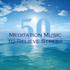 50 Meditation Music to Relieve Stress - Relaxing Soundscapes and Healing Soothing Music for Guided Imagery and Mindfulness Exercises - No Stress Ensemble