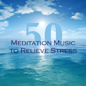 50 Meditation Music to Relieve Stress - Relaxing Soundscapes and Healing Soothing Music for Guided Imagery and Mindfulness Exercises - No Stress Ensemble