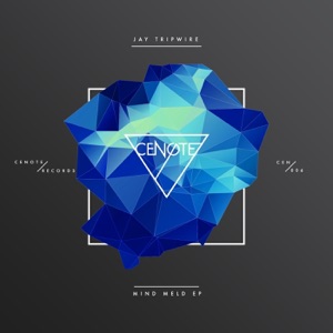 Mind Meld EP