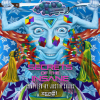 Various Artists - Secrets of the Insane artwork