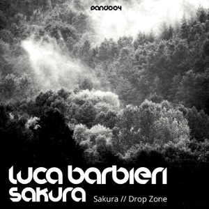 Sakura - Single