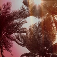 The One - Single - Proxuz