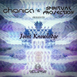 Joint Knowledge - Single