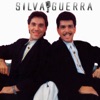 Silva & Guerra, 2016