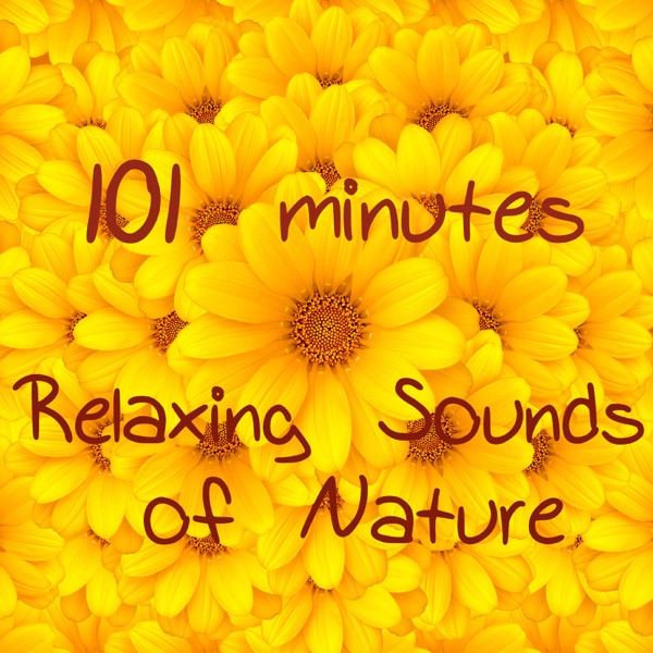 101 Minutes Relaxing Nature Sounds Music for Sleeping, Relaxation, Mindfulness Meditation, Reiki, Autogenic Training & Yoga Savasana (Bonus Track Relax Song)