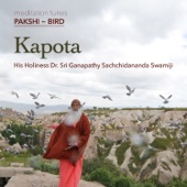 Meditation Tunes - Pakshi / Bird - Kapota artwork