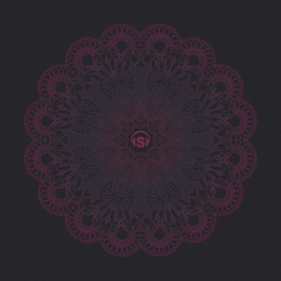 Zwarte Tulp - Single