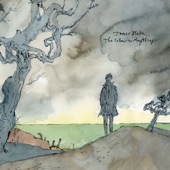 James Blake - I Need a Forest Fire (feat. Bon Iver)