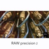 Raw Precision 2