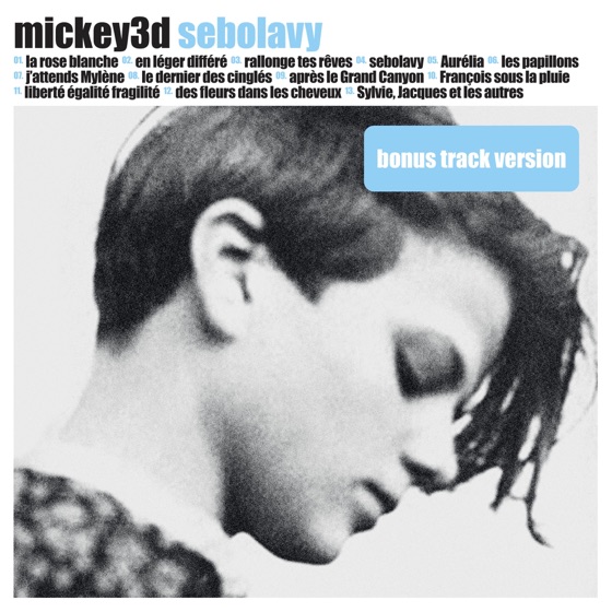 Cover artwork for Sebolavy