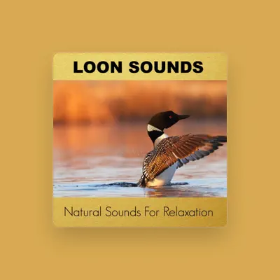 Listen to Loon Sounds, watch music videos, read bio, see tour dates & more!